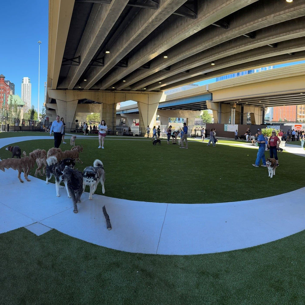 mke dog park grand opening