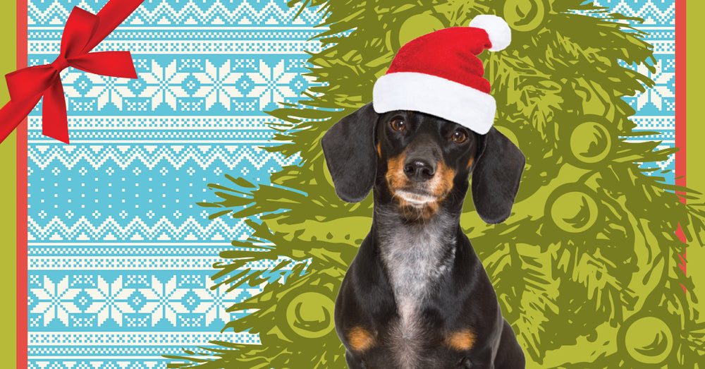 The Dog-Friendly Photo Shoot for a Great Cause - MKE Dog Park Holiday Photo Session on Dec. 18