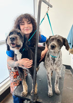 SPONSOR SPOTLIGHT: Community Bark Bay View
